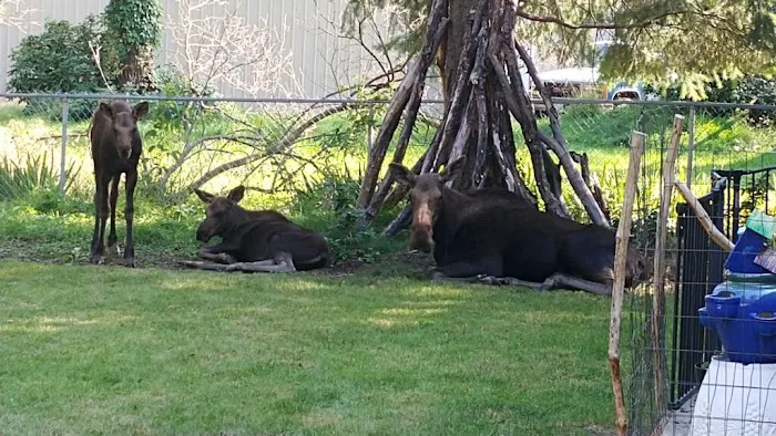 Tenino RV Park Picture 2