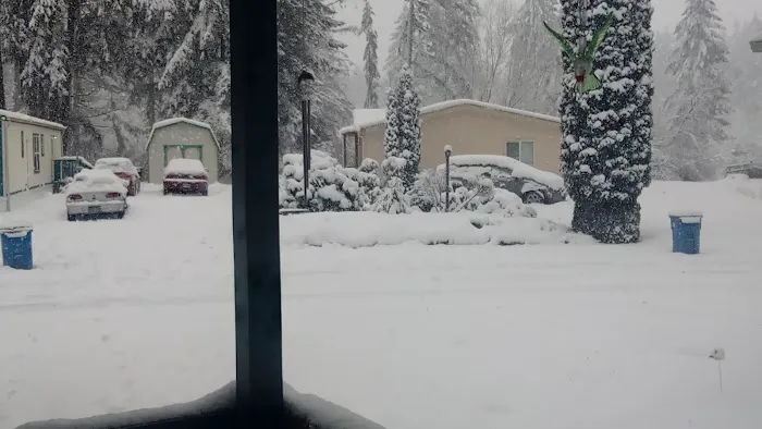 Whispering Woods Picture 4