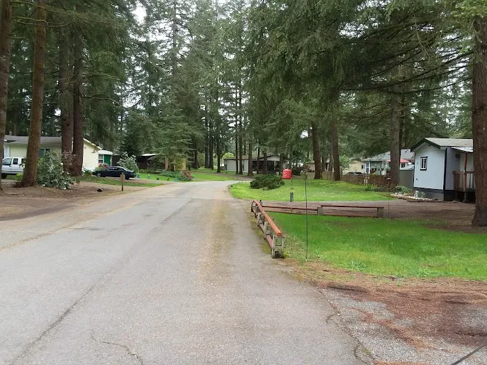 Whispering Woods Picture 5