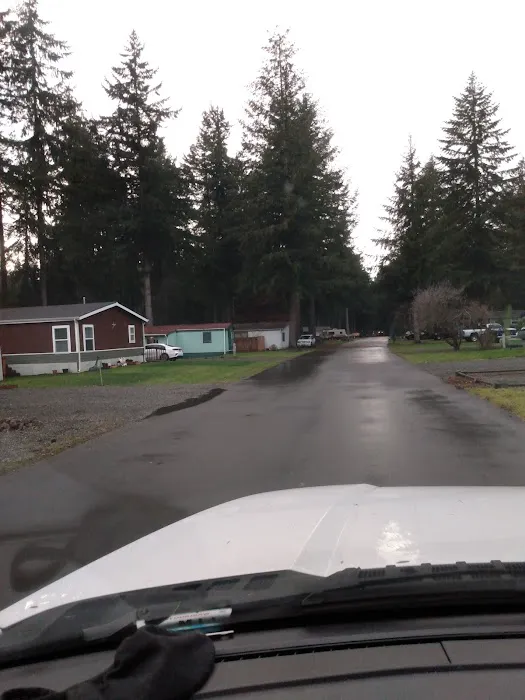 Whispering Woods Picture 3