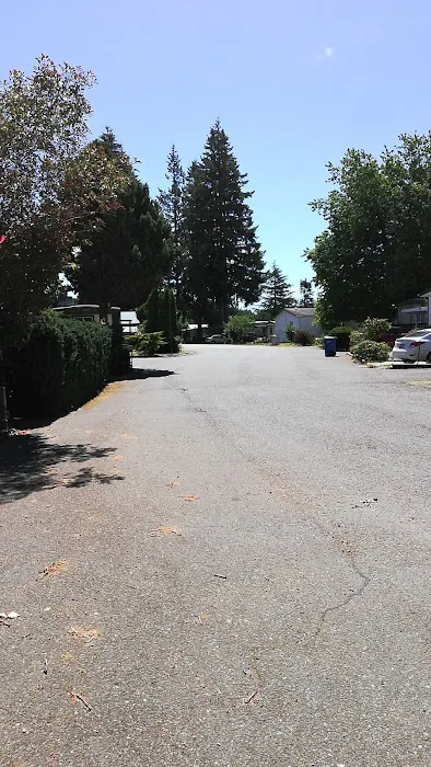 Collective Communities Tanglewood MHC Picture 6