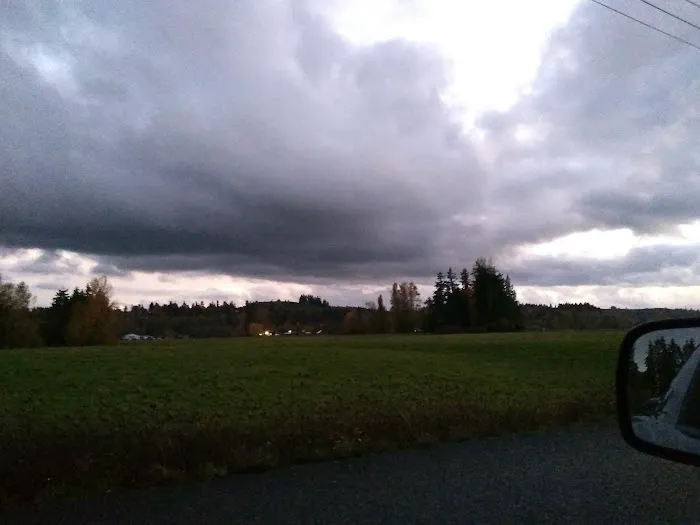 Collective Communities Tanglewood MHC Picture 2