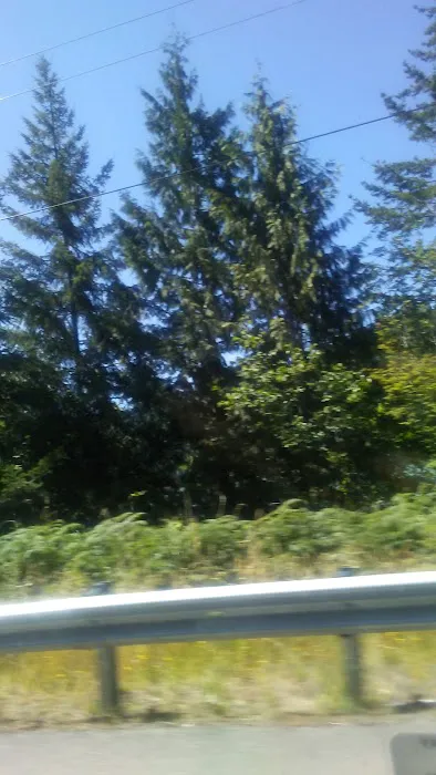 Eagle's Nest RV Park Picture 2