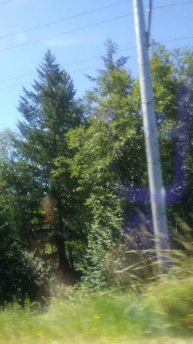 Eagle's Nest RV Park Picture 4