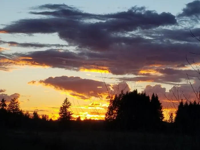 Chehalis Tribe’s Lucky Eagle RV Park Picture 4