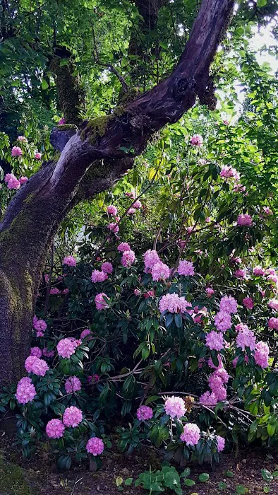 Deep Lake Resort Picture 9