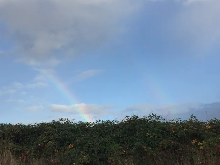 Emerald Valley RV Park Picture 9