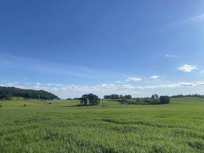 Emerald Valley RV Park Picture 2