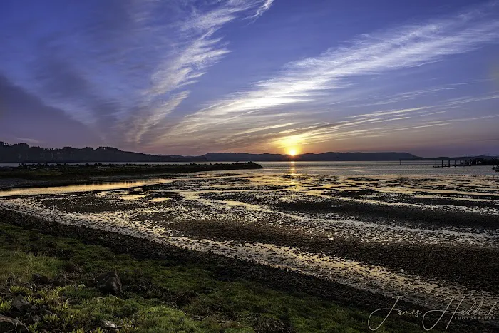 Tokeland Marina and RV Park Picture 7