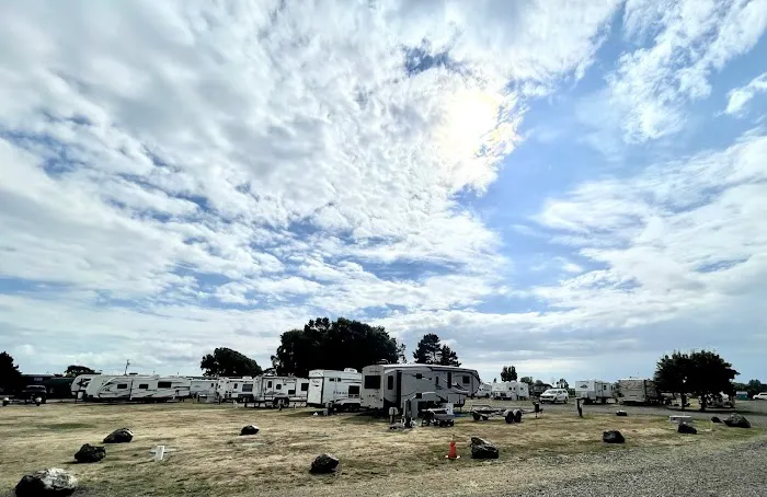 Tokeland Marina and RV Park Picture 8