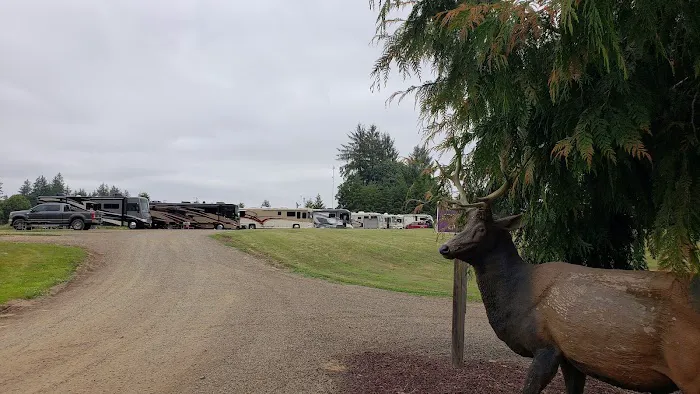 Tillamook, OR Elks RV Park & Picnic Area Picture 9