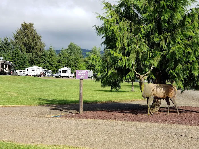 Tillamook, OR Elks RV Park & Picnic Area Picture 4