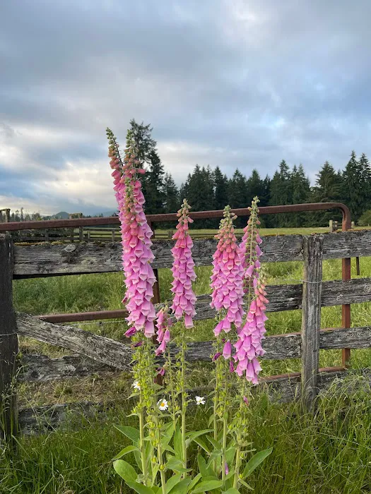 Proper T LLC Picture 6