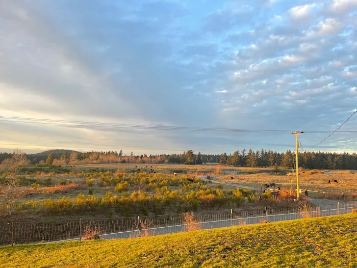 Proper T LLC Picture 9