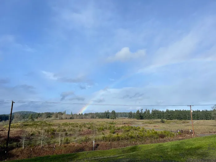 Proper T LLC Picture 4