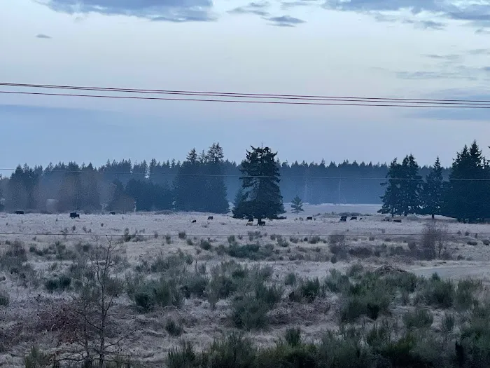 Proper T LLC Picture 1