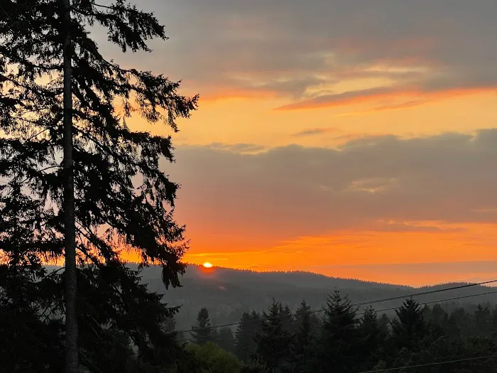 Proper T LLC Picture 8