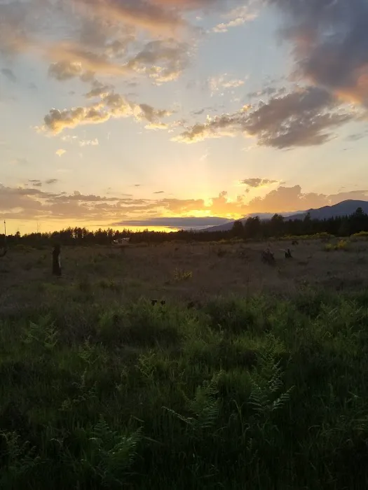 Tall Firs Mobile Home Park Picture 1