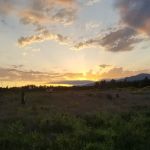 Tall Firs Mobile Home Park