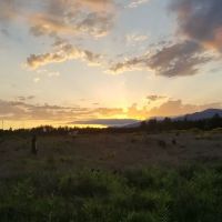 Tall Firs Mobile Home Park ico