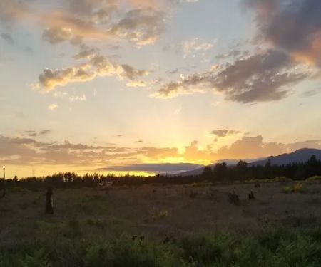 Tall Firs Mobile Home Park