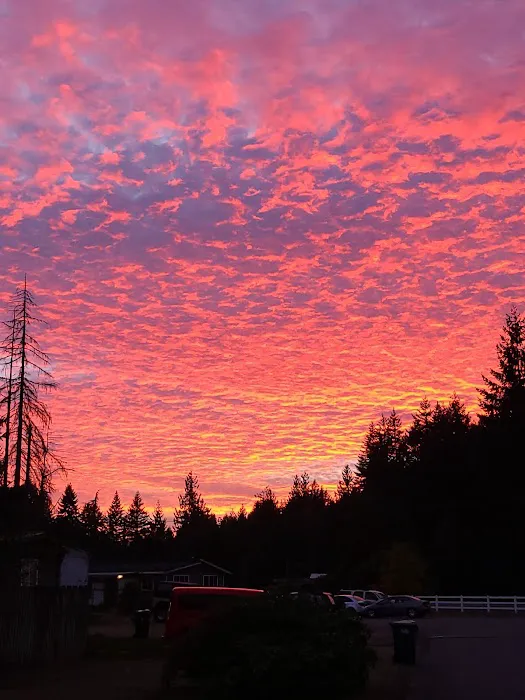 Tall Firs Mobile Home Park Picture 3