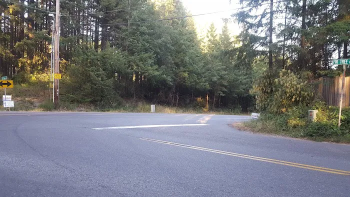 Collective Communities Flying Carpet MHC Picture 3