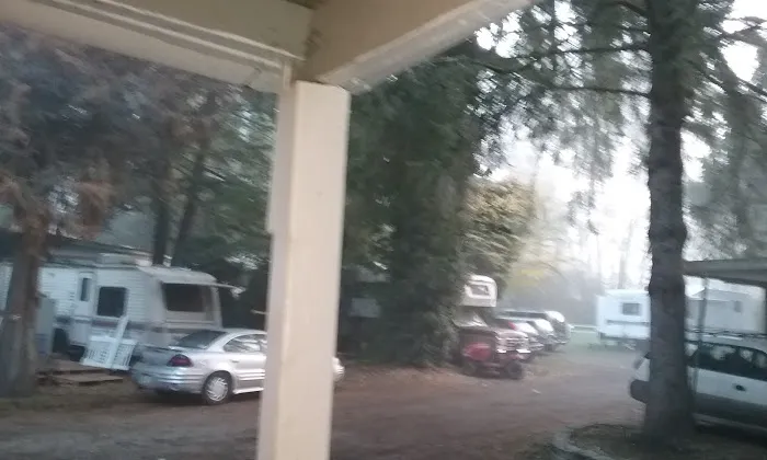 Lilly Place Picture 6