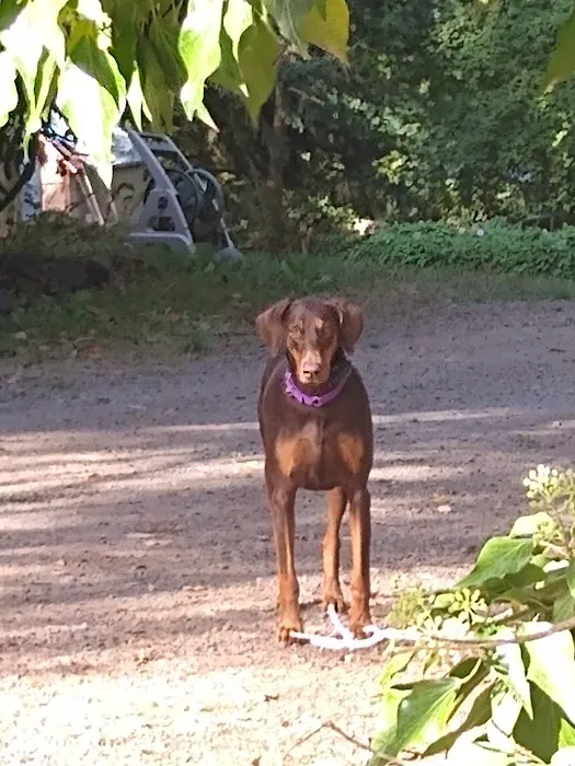 Lilly Place Picture 10