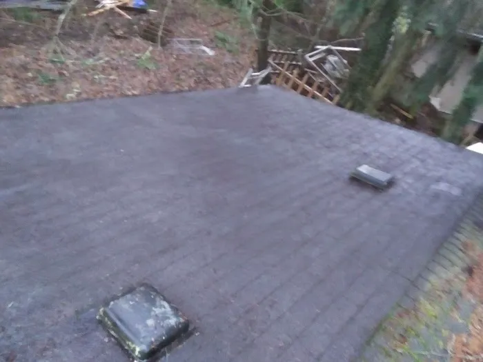 Lilly Place Picture 1