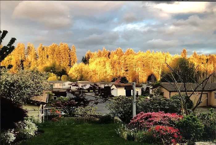 Thunderbird Village Picture 2