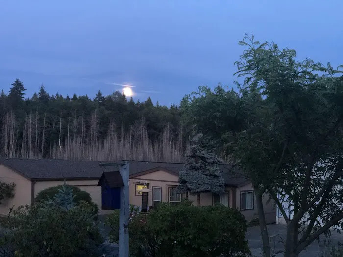 Thunderbird Village Picture 4