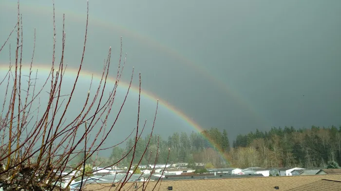 Thunderbird Village Picture 3