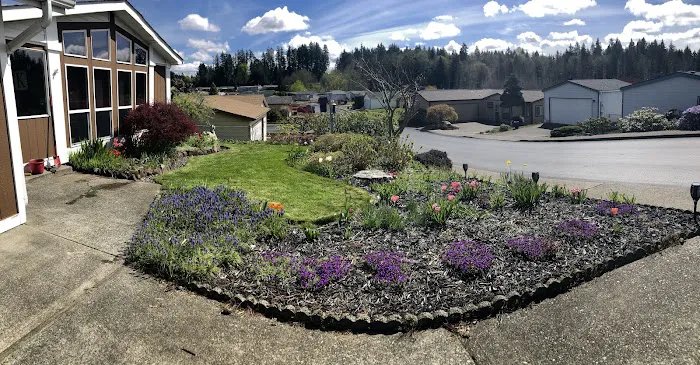 Thunderbird Village Picture 5