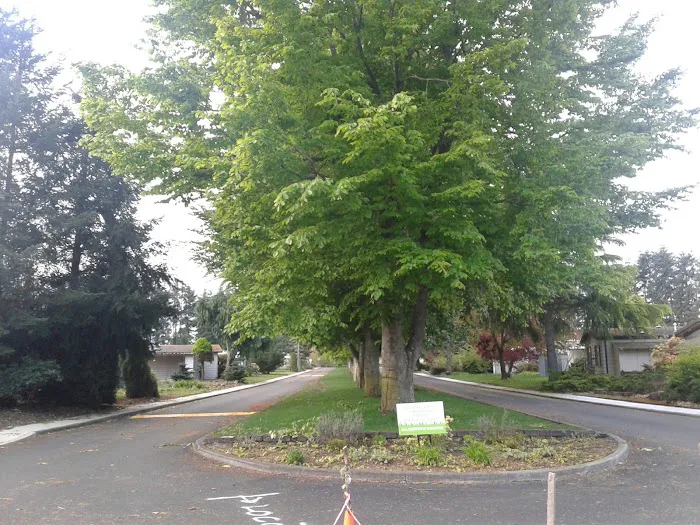 Mt Greens Manufactured Home Picture 8