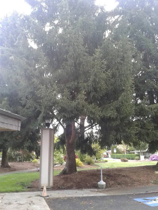 Mt Greens Manufactured Home Picture 6