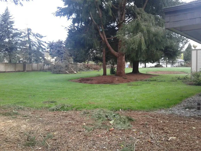 Mt Greens Manufactured Home Picture 7