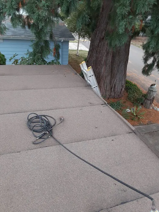 Mt Greens Manufactured Home Picture 5