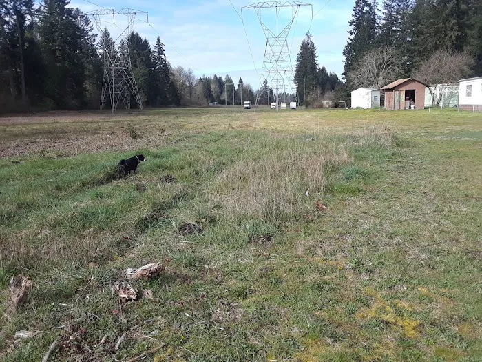 Glacier View Mobile Park Picture 1