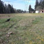 Glacier View Mobile Park