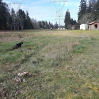 Glacier View Mobile Park ico