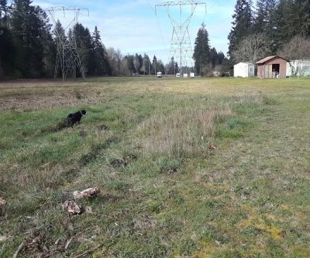 Glacier View Mobile Park