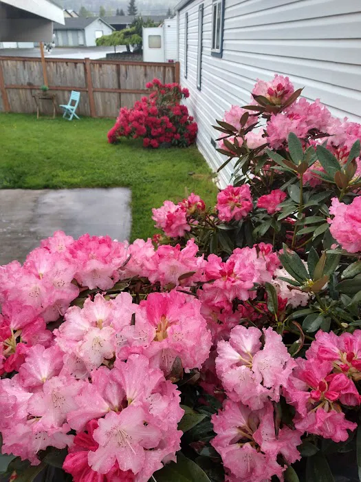 Mill Village RV Park Picture 8