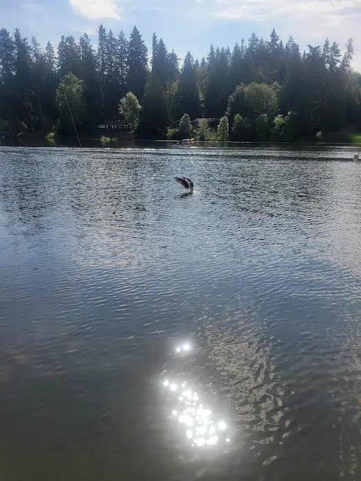 Tanwax Lake Resort Picture 7