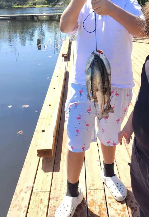 Tanwax Lake Resort Picture 10