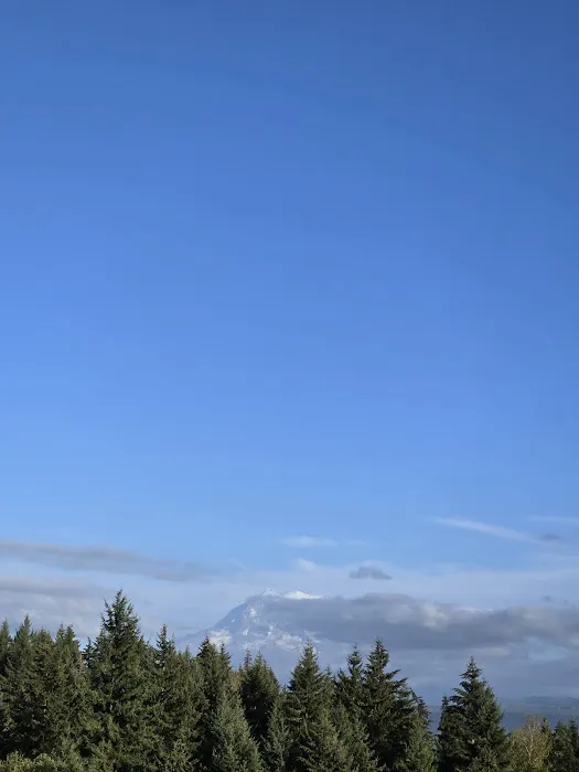 Rainier View Adult Rv Park Picture 8