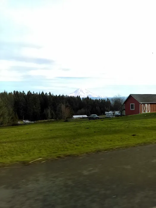 Rainier View Adult Rv Park Picture 10