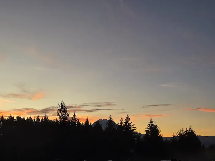 Rainier View Adult Rv Park Picture 5