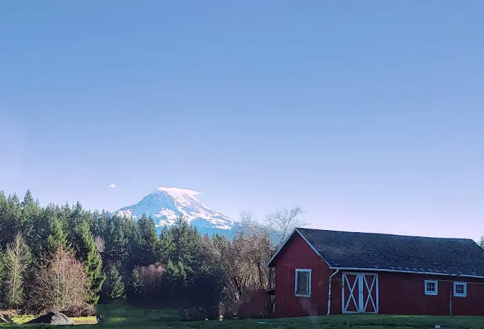 Rainier View Adult Rv Park Picture 7