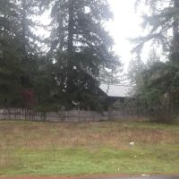 Golden Horseshoe ico